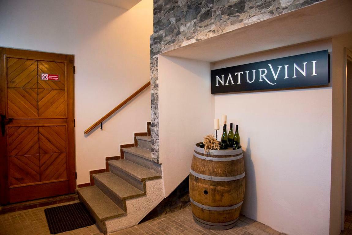 Penzion A Vinarstvi Naturvini Miroslav  Luaran gambar